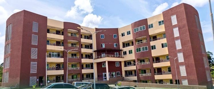 Who is the Director of KNUST IDL?